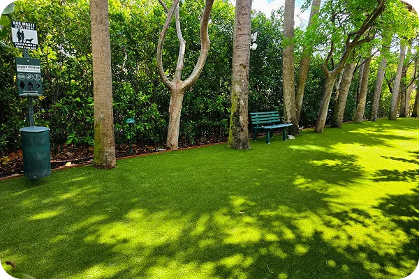 g3 turf